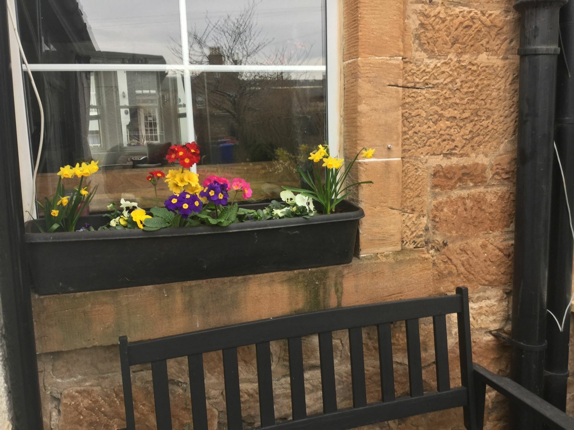 Craggallan Guest House Ayr Extérieur photo